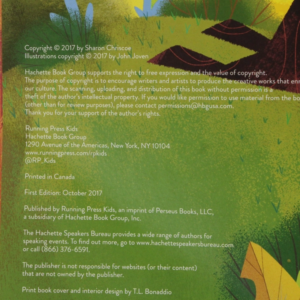 Bulldozer Dreams by Sharon Chriscoe 2017 Hardcover 1st Edition