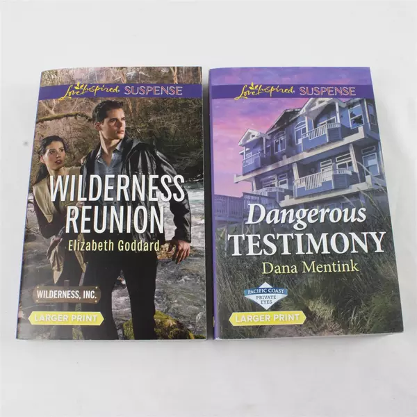 Lot of 2 Harlequin Romance Paperbacks Dangerous Testimony & Wilderness Reunion