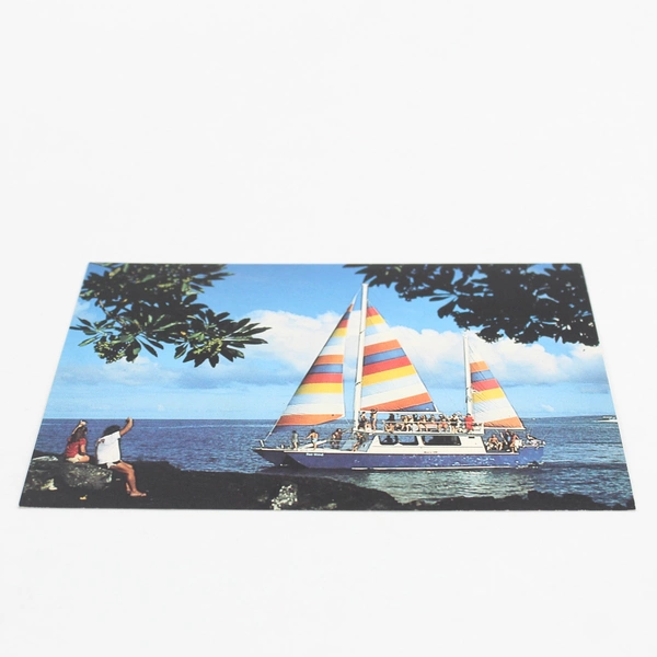 Vintage Kona Coast Hawaii Fair Wind Trimaran Sailboat Postcard by MCG