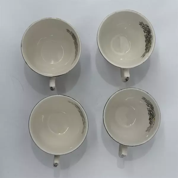 Set of 4 Johnson Brothers Friendly Village The Ice House Cups