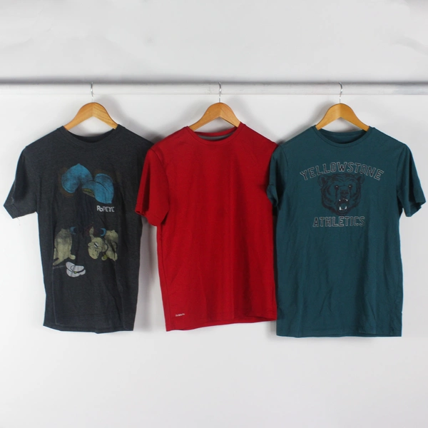 Lot of 3 Multiple Brands Boy's Size Small T-Shirts Yellowstone Red