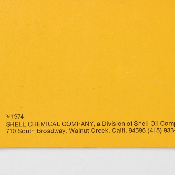 The 1975 Americana Calendar Designed by Charles Wysocki Vintage