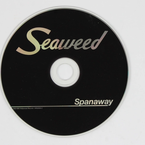 Seaweed by Spanaway A Music CD 1995 Hollywood Records