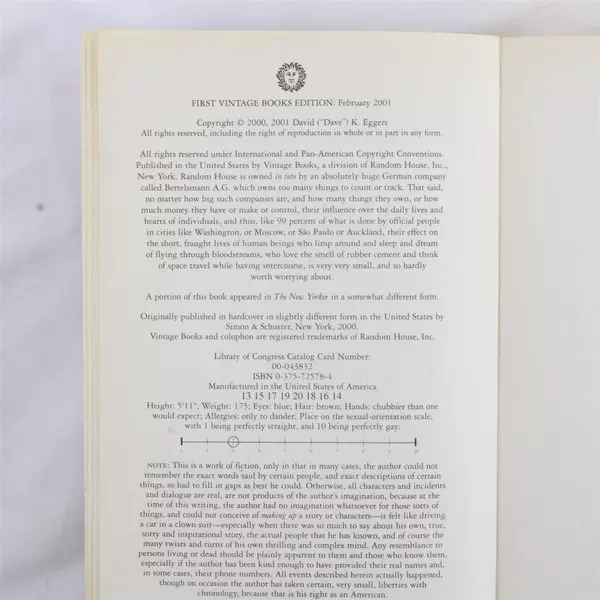 A Heartbreaking Work of Staggering Genius by Dave Eggers PB 2001