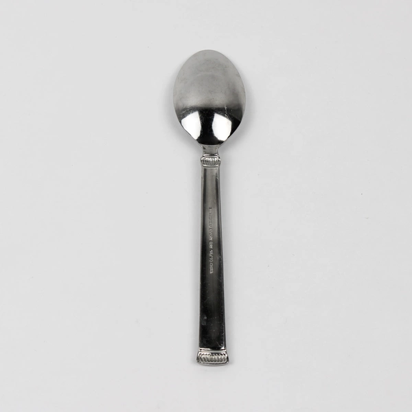 Retroneu Xena Frost Pattern 18/10 Stainless Steel Teaspoon 6.25 Inches