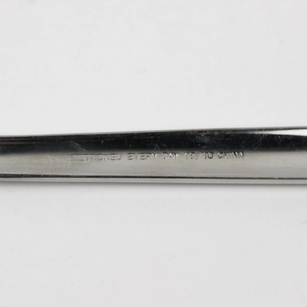 Retroneu Xena Frost Pattern 18/10 Stainless Steel Teaspoon 6.25 Inches