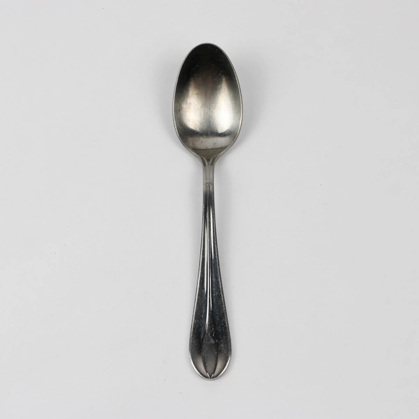 Retroneu Villa Pattern 18/8 Stainless Steel Teaspoon 7.5 Inches 