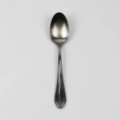 Retroneu Villa Pattern 18/8 Stainless Steel Teaspoon 7.5 Inches 