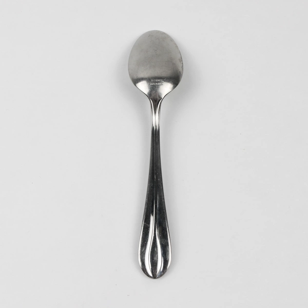Retroneu Villa Pattern 18/8 Stainless Steel Teaspoon 7.5 Inches 