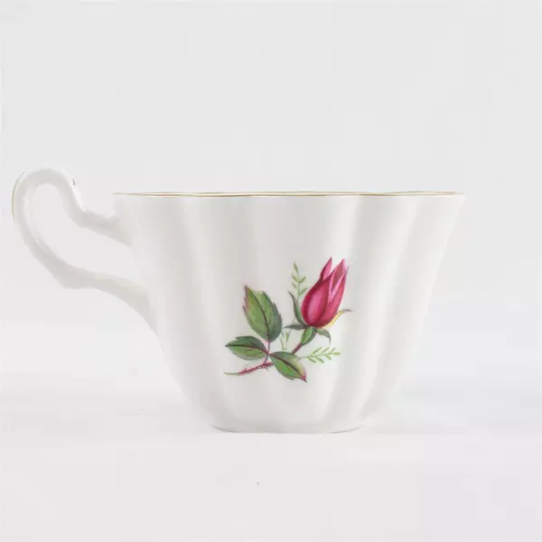 Vintage Royal Stuart Spencer Stevenson England Rose Tea Cup and Saucer Set