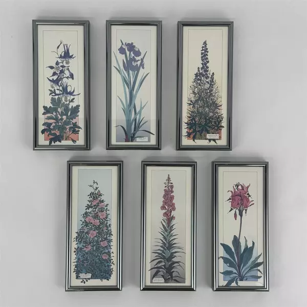  Set of 6 Floral Botanical Framed Art Prints