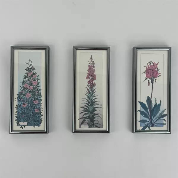  Set of 6 Floral Botanical Framed Art Prints