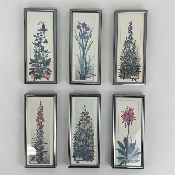  Set of 6 Floral Botanical Framed Art Prints