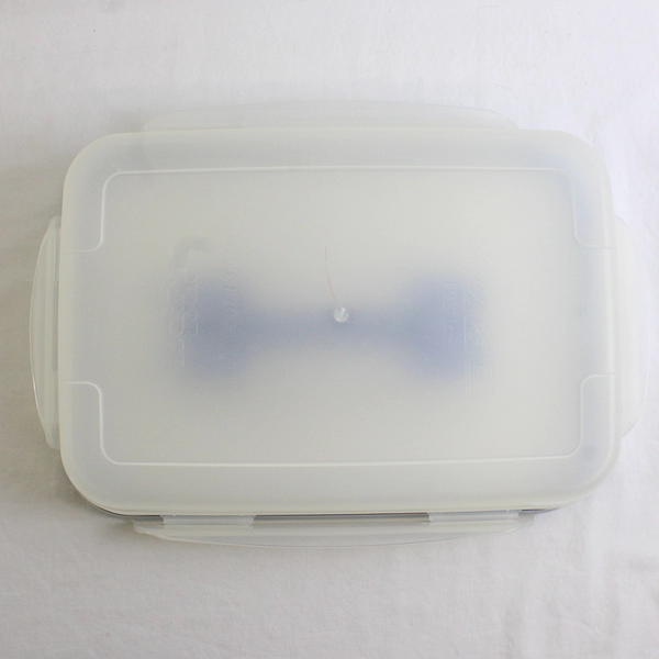 Lock & Lock Handy 3.4 L Plastic Food Storage Container Carrier
