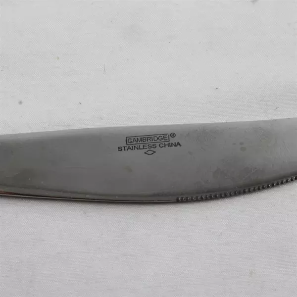 Set of 4 Cambridge Silver Aurora Modern Stainless Dinner Knives 9"