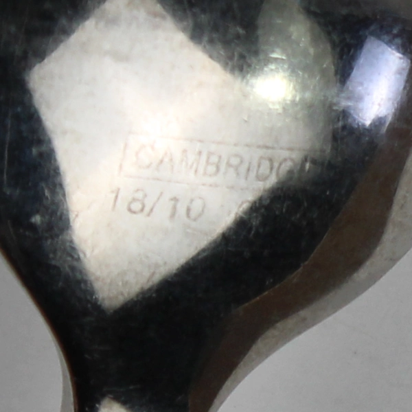 Lot of 7 Cambridge 18/10 Stainless Glossy Satin Teaspoons Leigh-Sand Pattern 