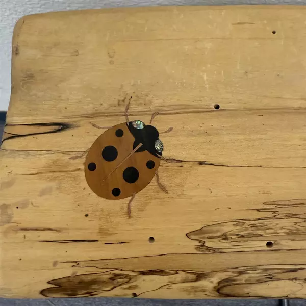 Soigne Wood Ladybug Side Table with Leg 