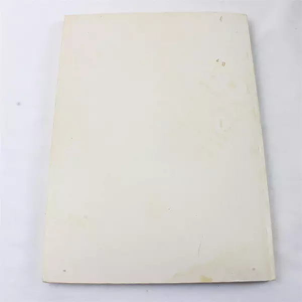 Perceptual-Motor Learning Theory and Practice Lerch Becker Ward Nelson Paperback