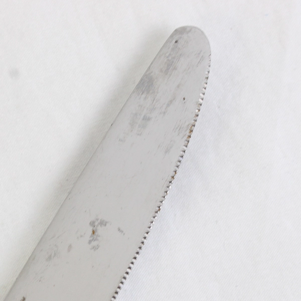 Lot Of 5 Food Network Mint (Stainless) Flatware Dinner Knives 9.5" Long