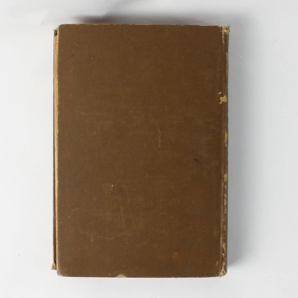 Antique The Magyar A Story of the Social Revolution by Alexander Irvine 1911 HC