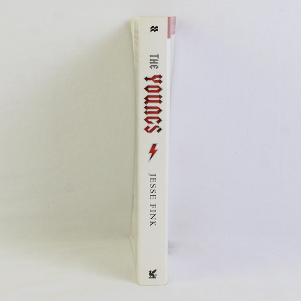 The Youngs: the Brothers Who Built AC/DC by Jesse Fink 2015 Updated Paperback