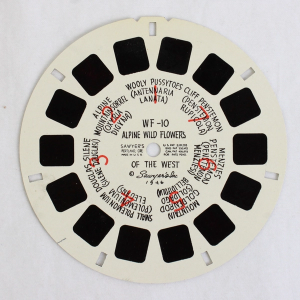 Vintage 1946 Sawyer's View Master WF10 Alpine Wild Flowers Western USA