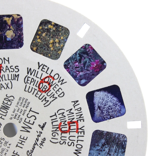 Lot Of 2 1946 Sawyer's View Master WF2 WF3 Alpine Wild Flowers Western USA Reels