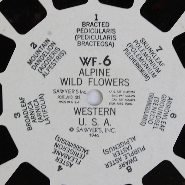 Lot Of 4 View Master WF4 WF6 WF7 WF8 Alpine Wild Flowers Western USA Reels
