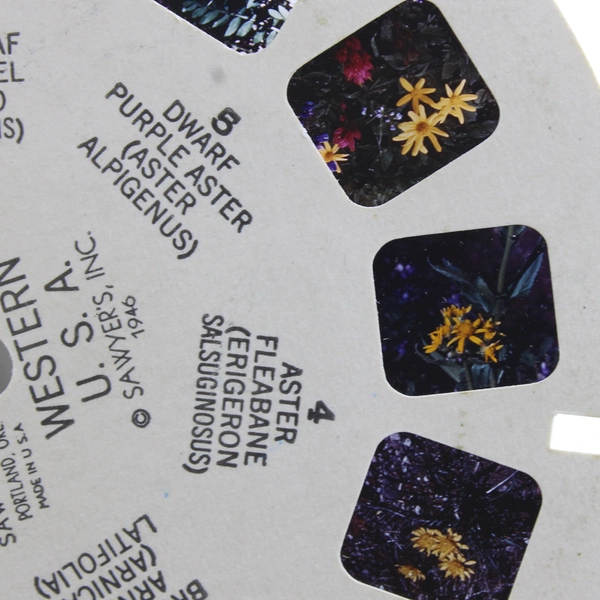 Lot Of 4 View Master WF4 WF6 WF7 WF8 Alpine Wild Flowers Western USA Reels