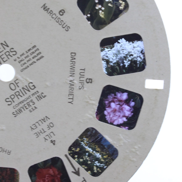 Lot Of 2 Garden Flowers Spring Autumn Sawyer's View-Master Reels 980 982