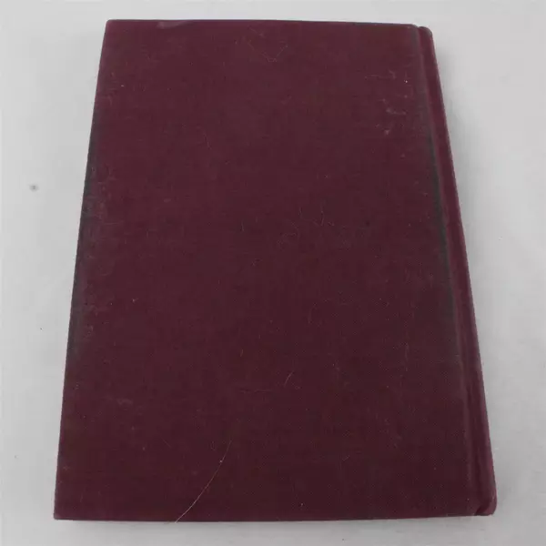 Set of 25 Engraved Runes Divination Tool & The Book of Runes Ralph Blum