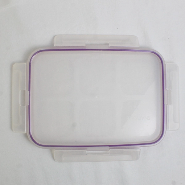 Snapware 17 Cups Clear Plastic Food Storage Container