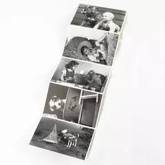 Lot of 5 Black & White Post Cards H. Armstrong Roberts North Shore Animal