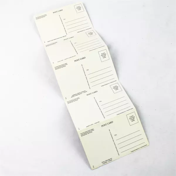 Lot of 5 Black & White Post Cards H. Armstrong Roberts North Shore Animal