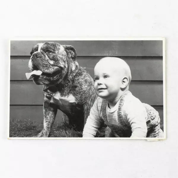 Lot of 5 Black & White Post Cards H. Armstrong Roberts North Shore Animal