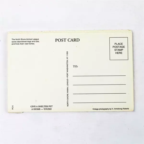 Lot of 5 Black & White Post Cards H. Armstrong Roberts North Shore Animal