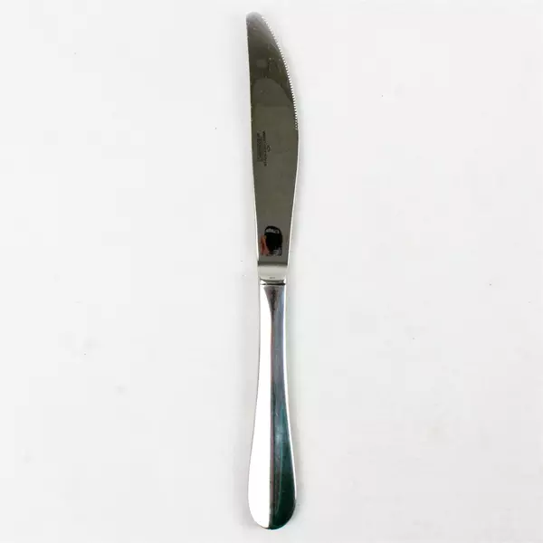 Set of 8 Cambridge Silver Aurora Modern Solid Dinner Knives 9.25"