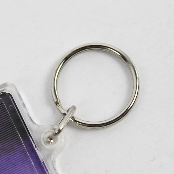 Cinderella Lenticular MotionMagic Keychain