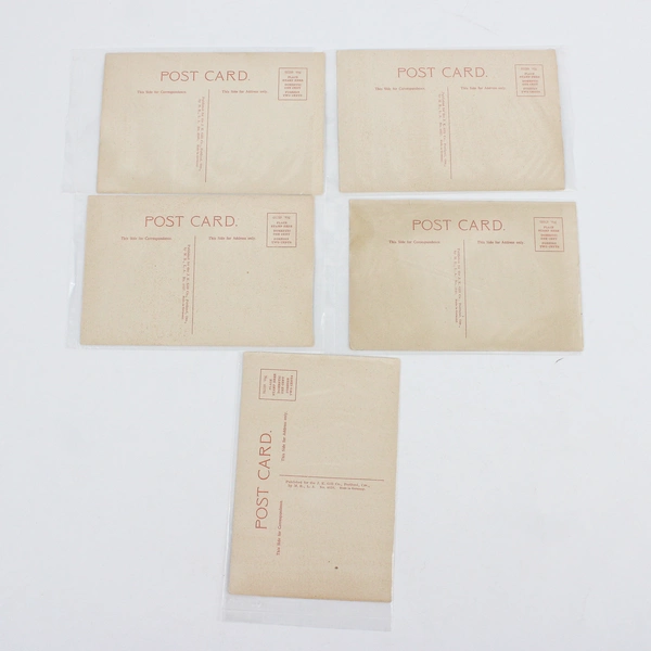 Lot Of 5 Vintage Columbia River Gorge Oregon Postcards JK Gill Company Steamboat