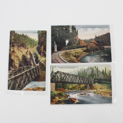 Lot Of 3 Vintage Oregon Color Postcards Tillamook Railroad Nehalem Salmonberry 