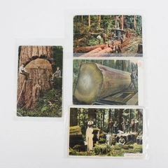 Lot Of 4 Vintage Oregon Northwest Old Growth Logging Color Postcards