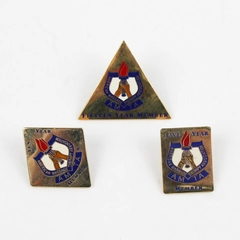 Set of 3 American Massage Therapy Association 5 10 & 15 Year Member Pins
