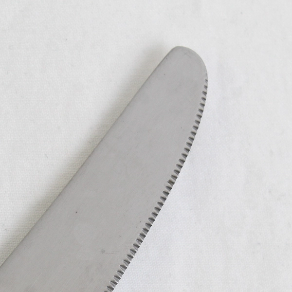 Set of 4 Oneida Silver Frost Pattern Dinner Knives 9.75" Long