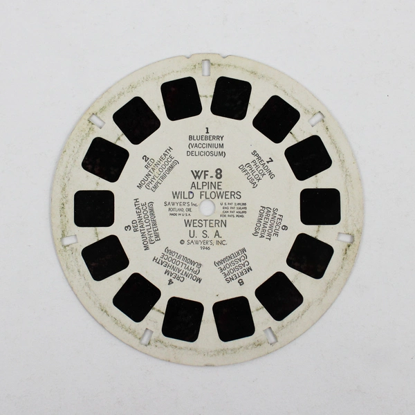 Vintage View Master WF8 Alpine Wild Flowers Reel 1946
