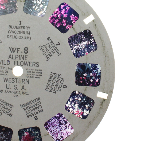 Vintage View Master WF8 Alpine Wild Flowers Reel 1946