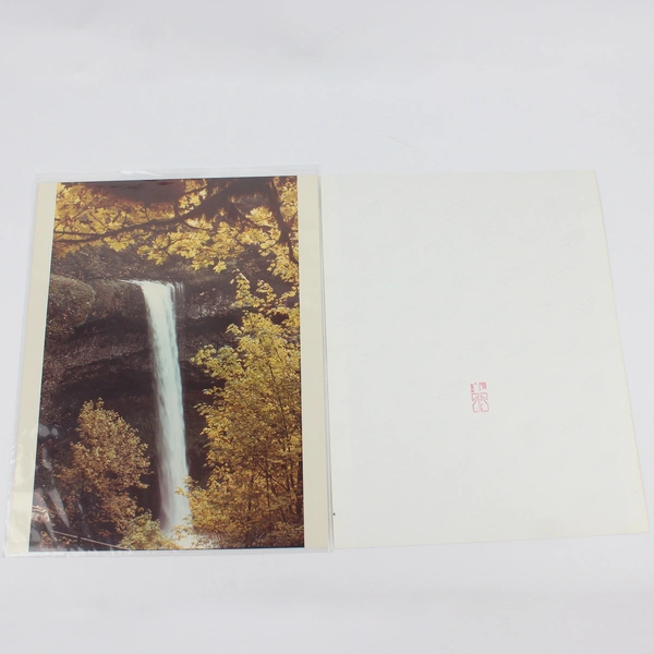 Lot Of 2 Vintage Silver Falls State Park Oregon Waterfall Scenic Photos 1982
