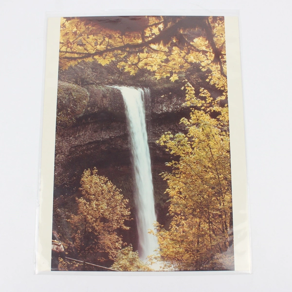 Lot Of 2 Vintage Silver Falls State Park Oregon Waterfall Scenic Photos 1982