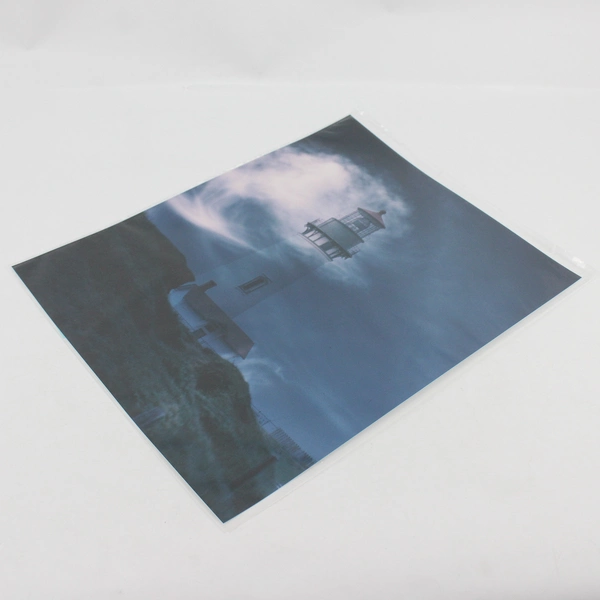 Vintage Yaquina Head Lighthouse Photo Print Newport Oregon Coast 1987 11 x 14