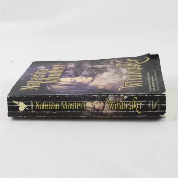 Windwalker by Natasha Mostert Thought-Provoking Fiction Novel 