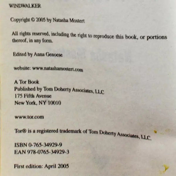 Windwalker by Natasha Mostert Thought-Provoking Fiction Novel 